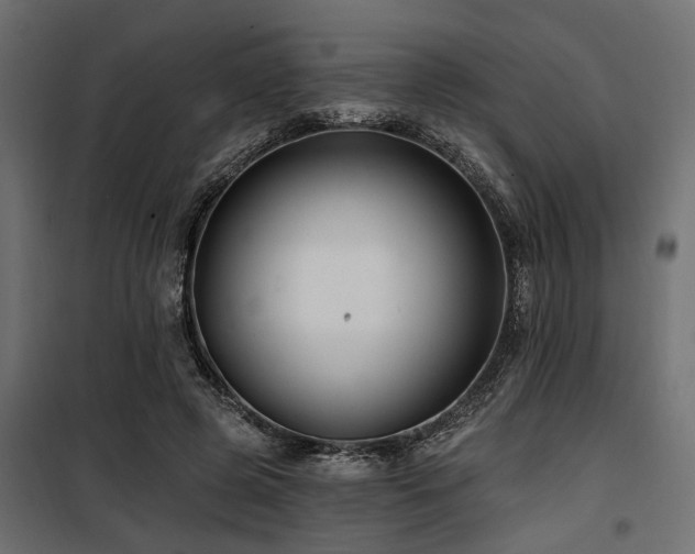 X0000100750545200806191146