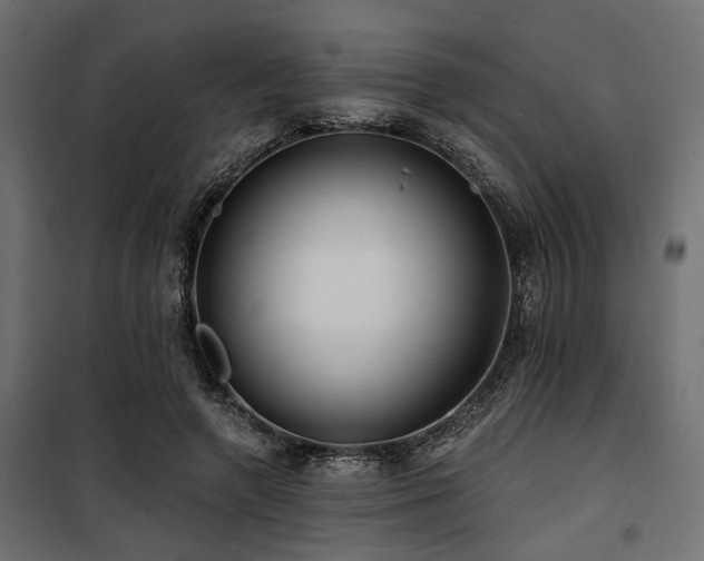 X0000100750546200806191146