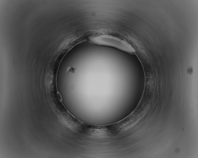 X0000100750548200806191146