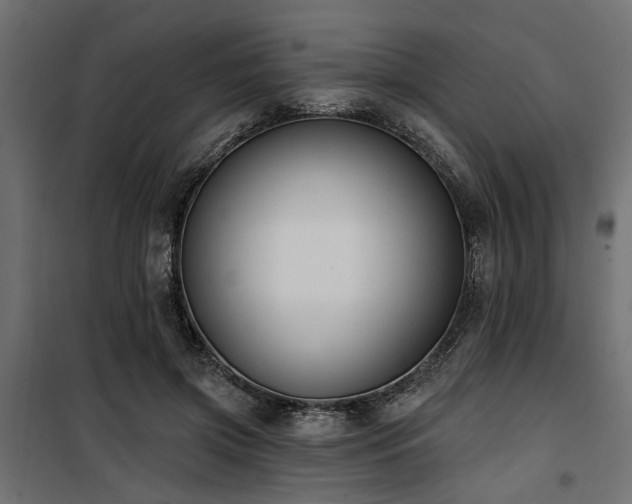 X0000100750549200806191146