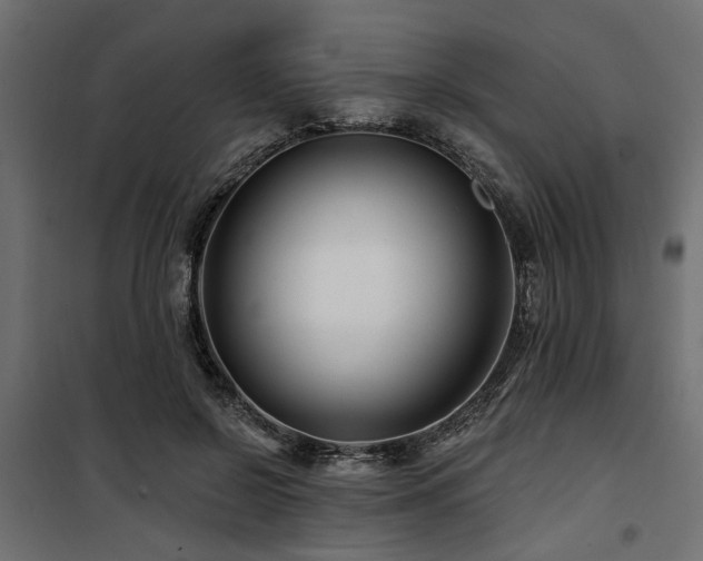 X0000100750550200806191146