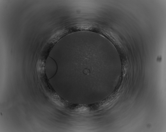 X0000100750551200806191146