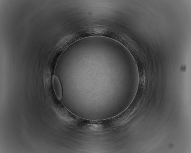 X0000100750552200806191146