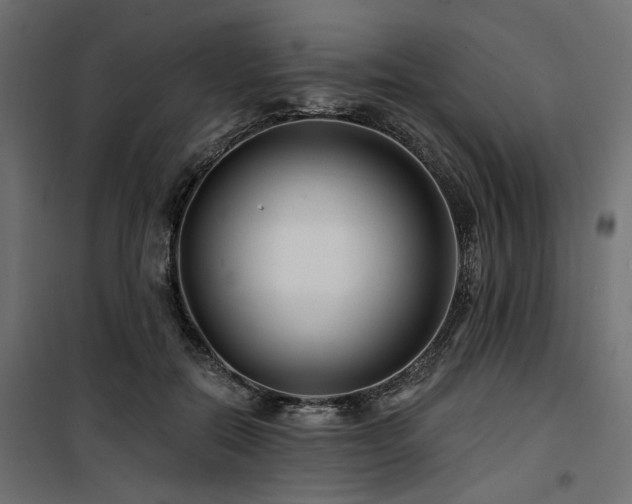 X0000100750554200806191146