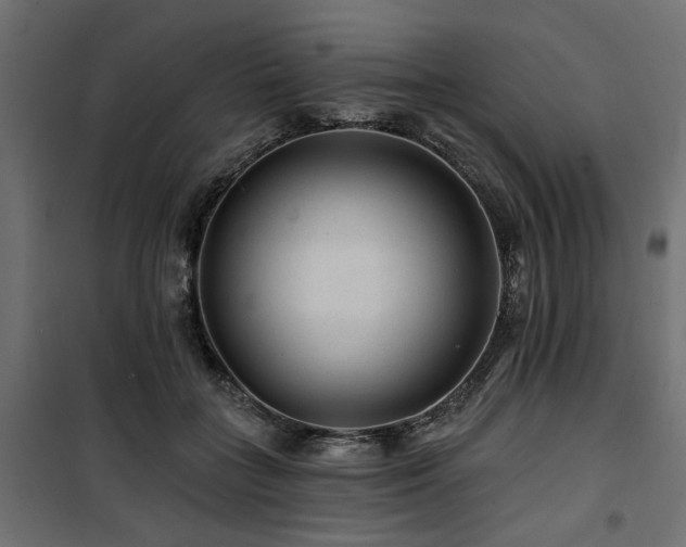 X0000100750555200806191146