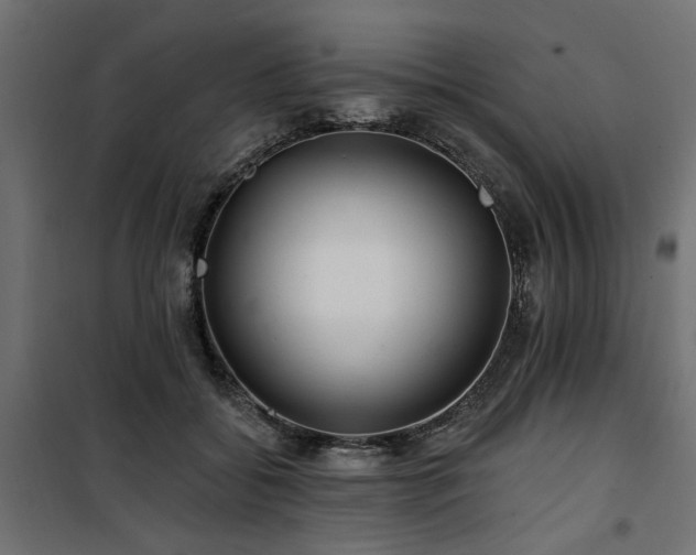 X0000100750556200806191146