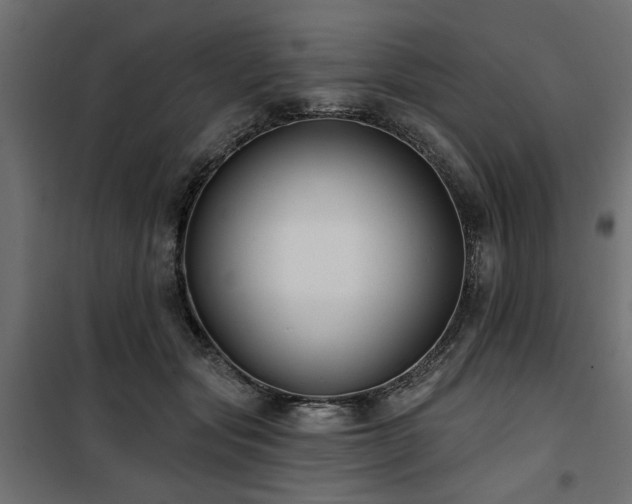 X0000100750557200806191146