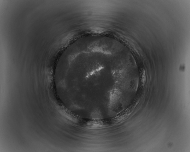 X0000100750559200806191146