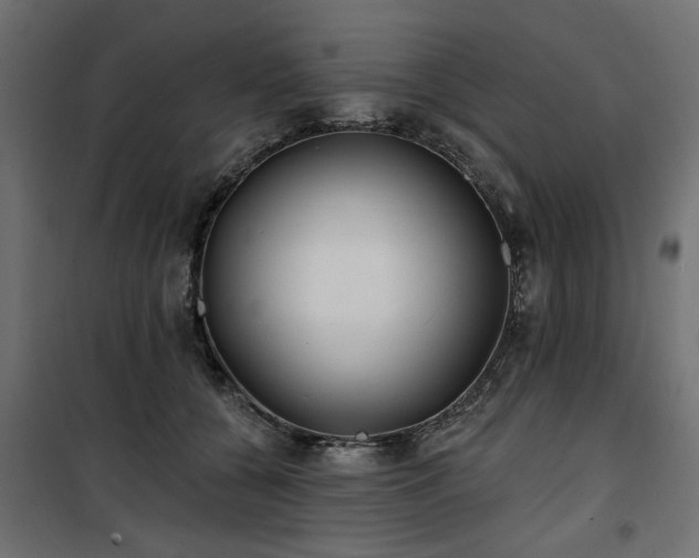 X0000100750560200806191146