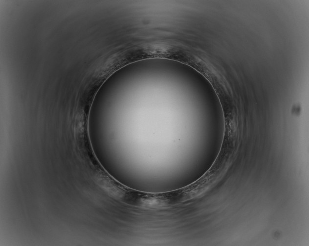 X0000100750561200806191146