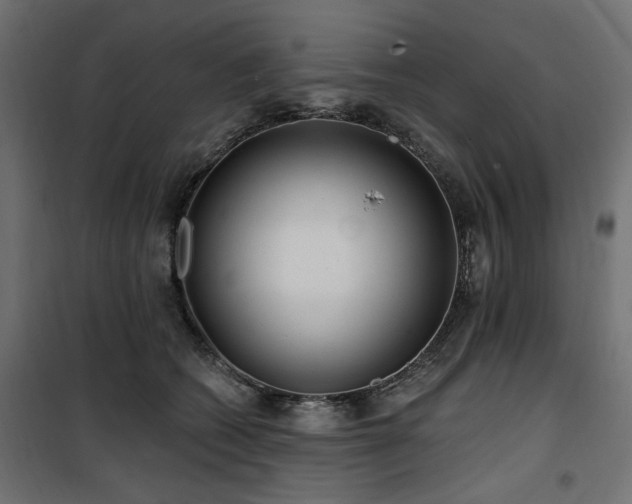 X0000100750562200806191146