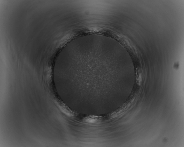 X0000100750563200806191146