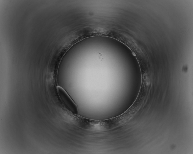 X0000100750564200806191146