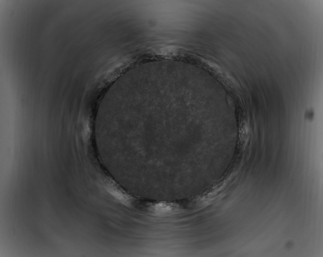 X0000100750566200806191146