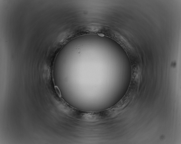 X0000100750568200806191146