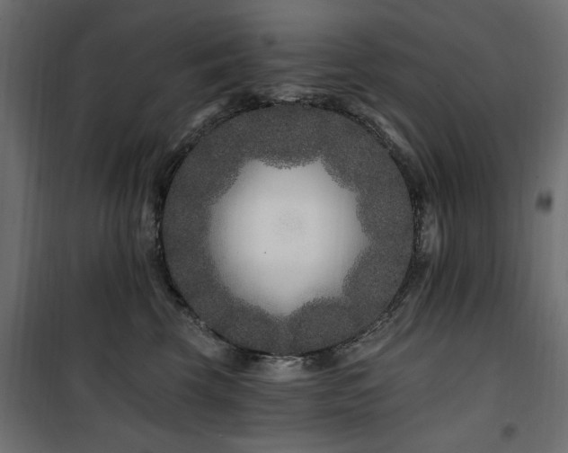 X0000100750569200806191146