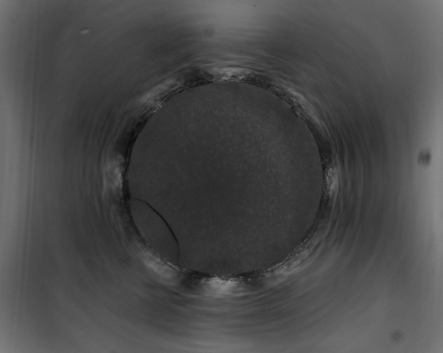 X0000100750570200806191146