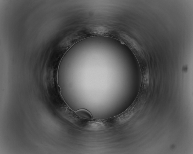 X0000100750572200806191146