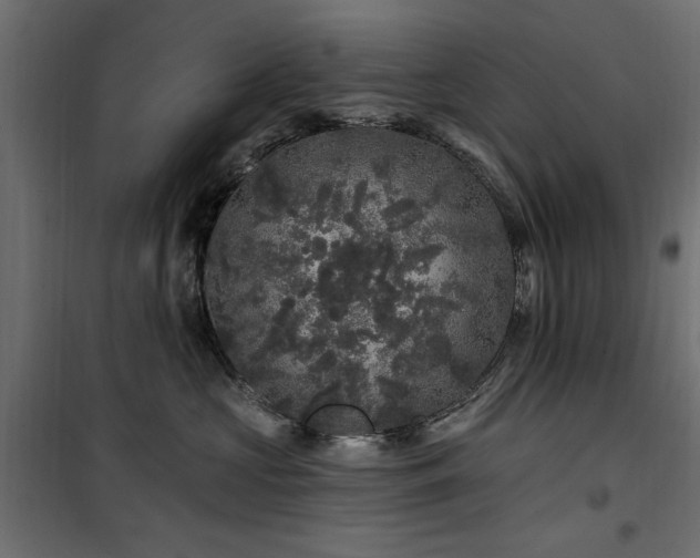 X0000100750573200806191146