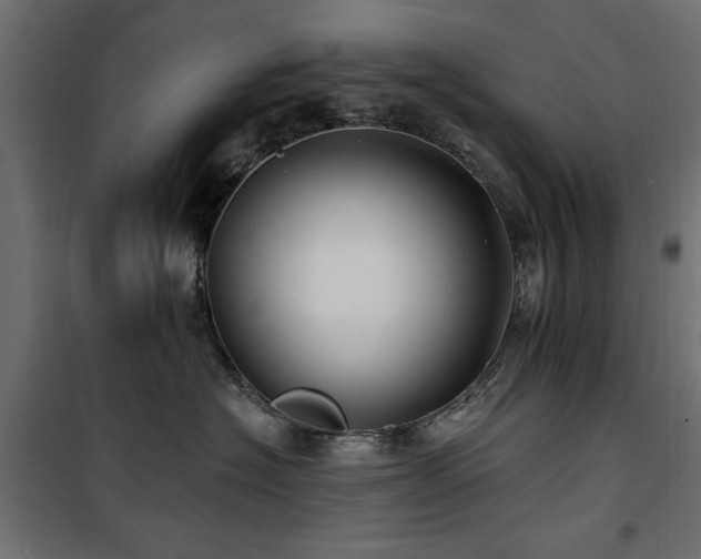 X0000100750574200806191146