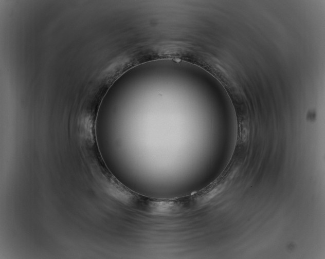 X0000100750575200806191146