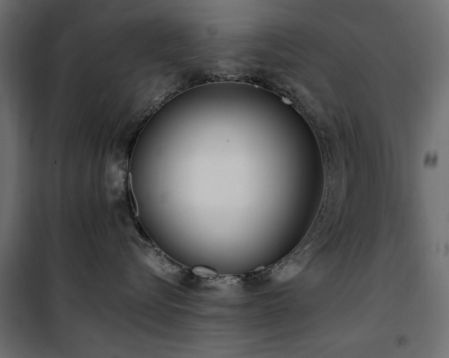 X0000100750576200806191146