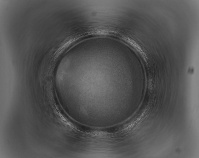 X0000100750577200806191146