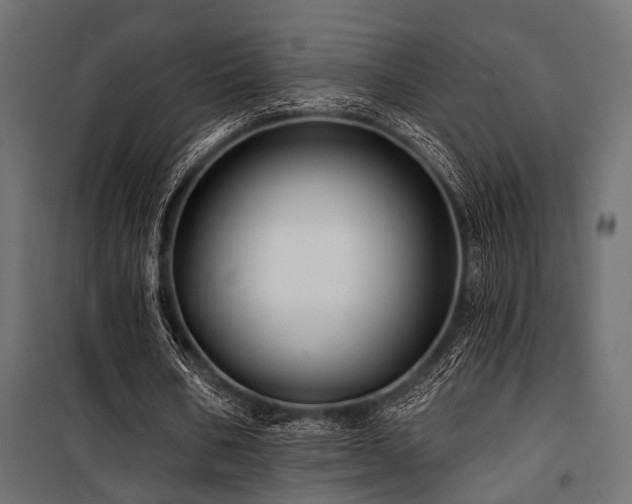 X0000100750578200806191146