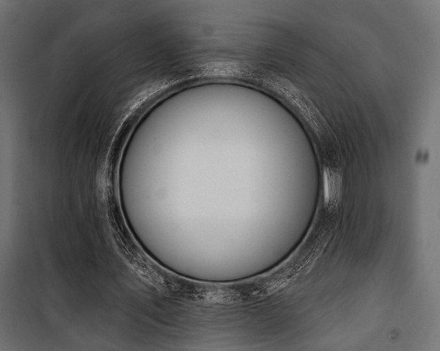 X0000100750579200806191146