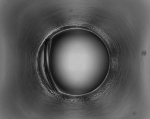 X0000100750580200806191146