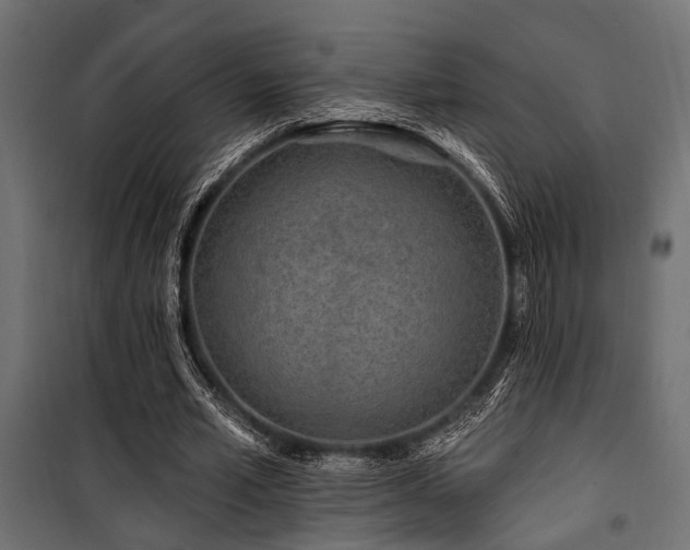 X0000100750581200806191146