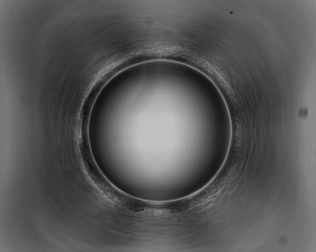 X0000100750582200806191146