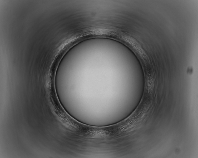 X0000100750583200806191146