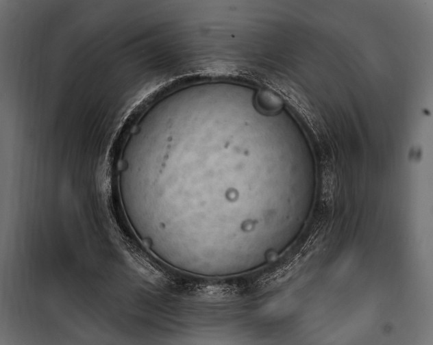 X0000100750584200806191146