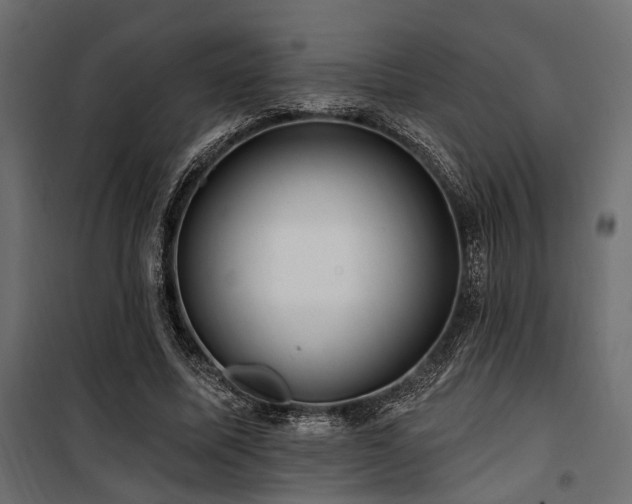 X0000100750587200806191145