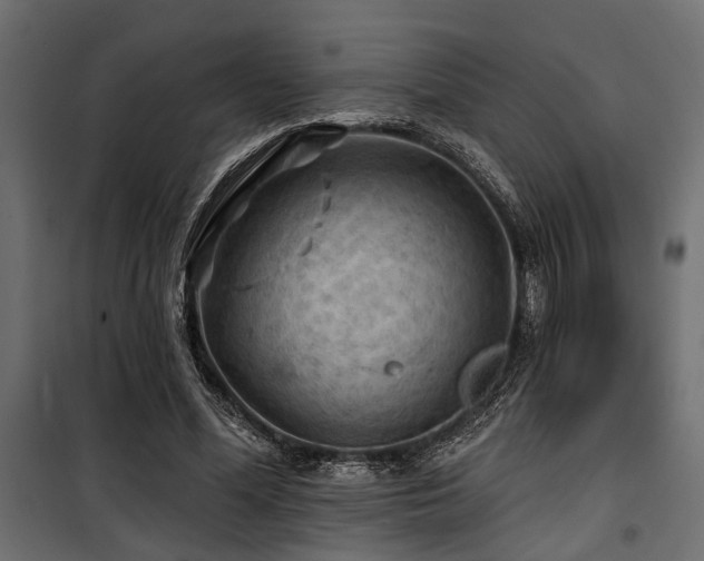 X0000100750588200806191145