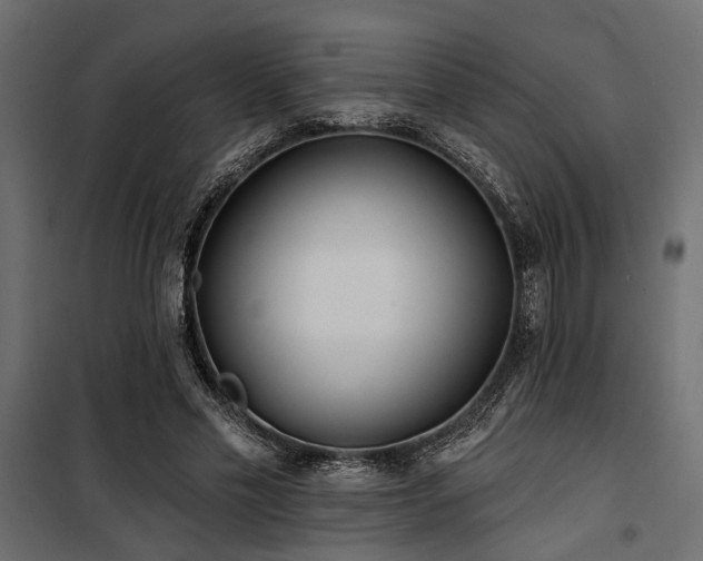 X0000100750589200806191145