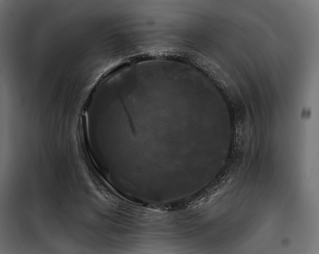 X0000100750592200806191145