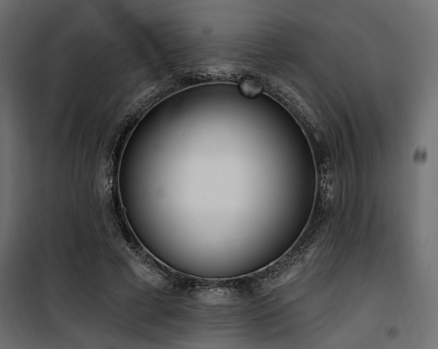 X0000100750593200806191145