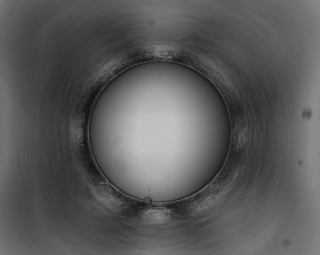 X0000100750595200806191145