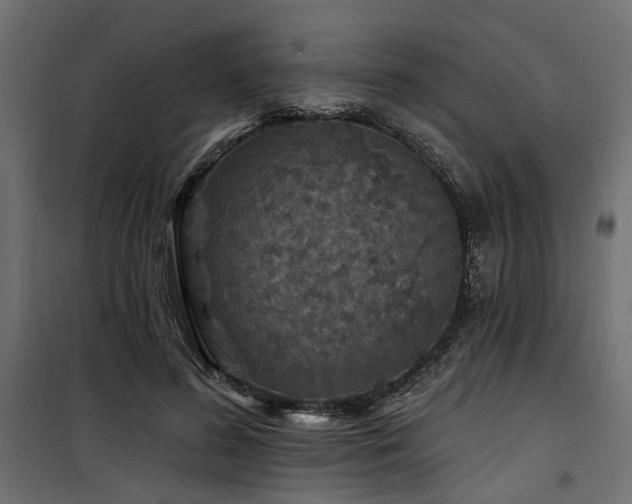 X0000100750596200806191145