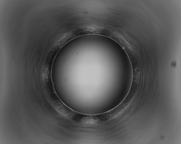 X0000100750597200806191145