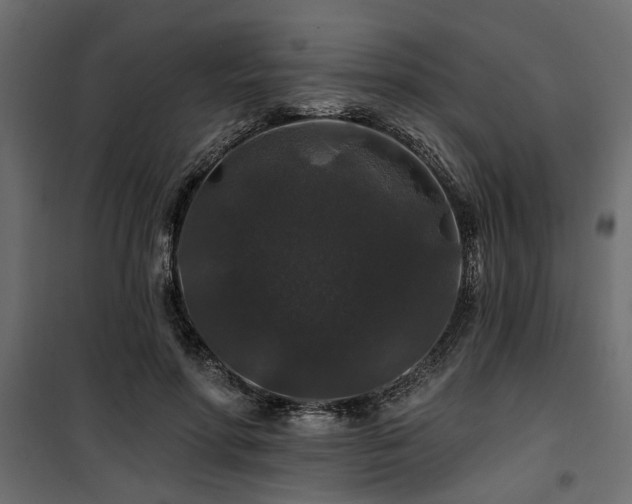 X0000100750598200806191145