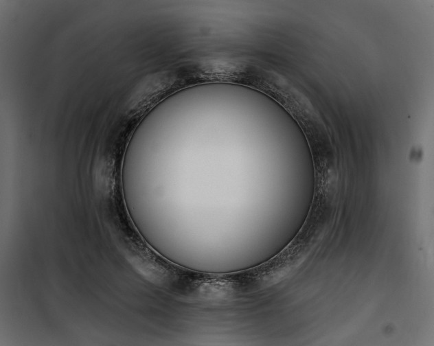 X0000100750599200806191145