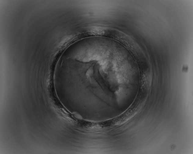 X0000100750600200806191145