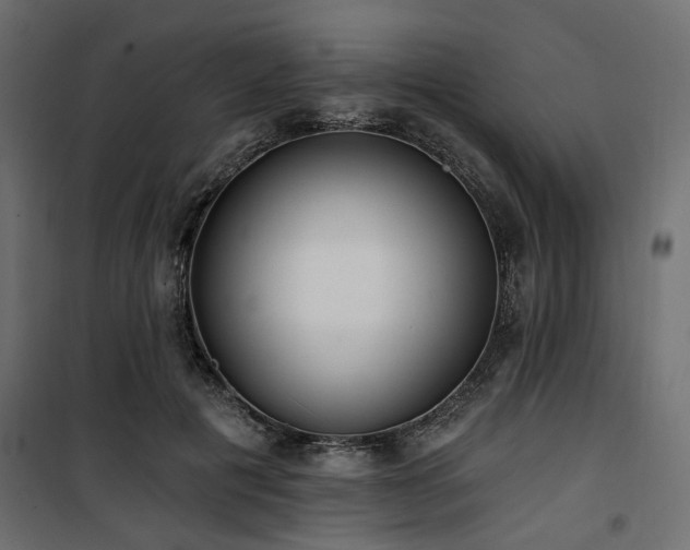 X0000100750601200806191145