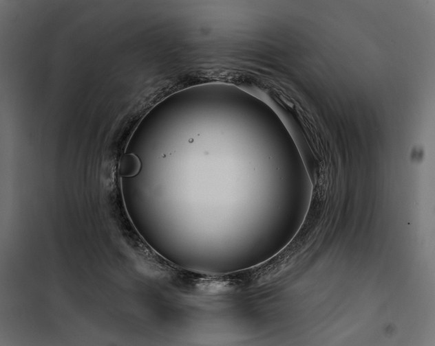 X0000100750602200806191145