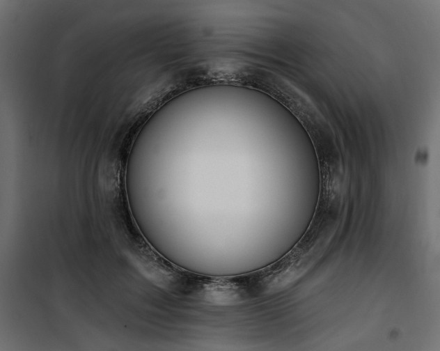 X0000100750603200806191145