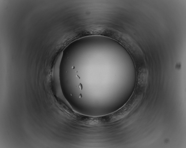 X0000100750604200806191145