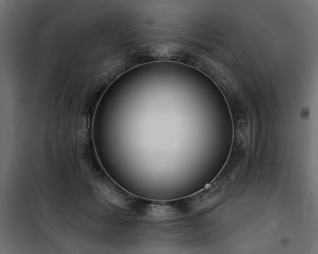 X0000100750605200806191145